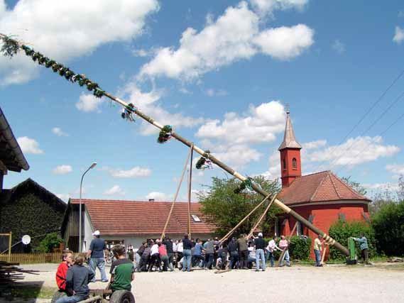 wird der Baum gemeinsam aufgestellt.